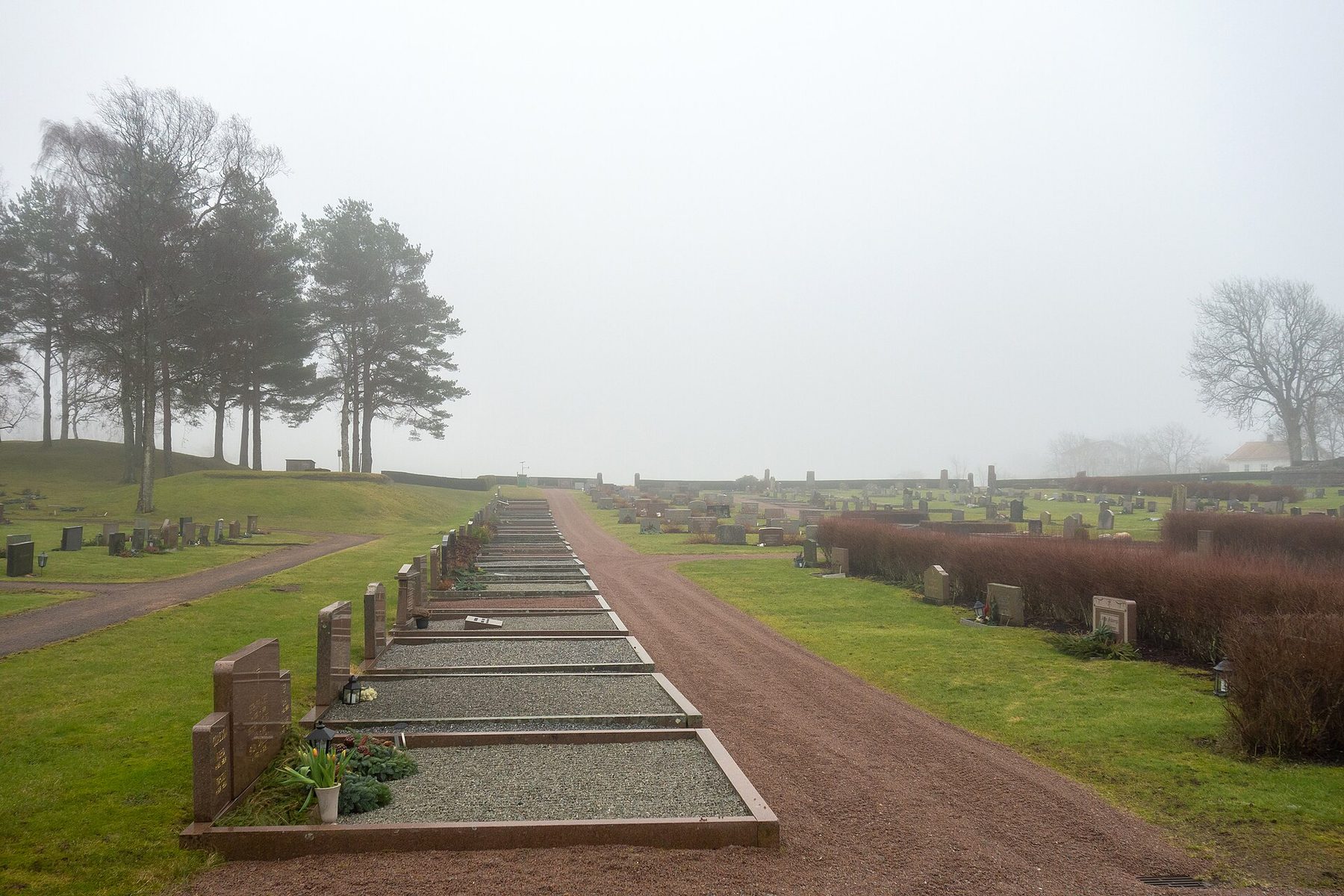 Rows of gravestones in a foggy cemetery